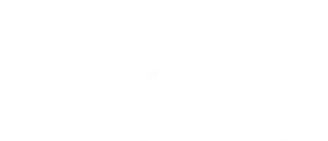 Logo Villa Friesland Makelaar in Gaasterland